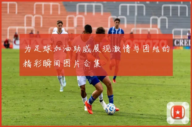 为足球加油助威展现激情与团结的精彩瞬间图片合集