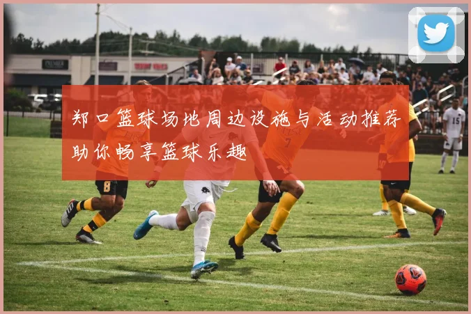 郑口篮球场地周边设施与活动推荐助你畅享篮球乐趣