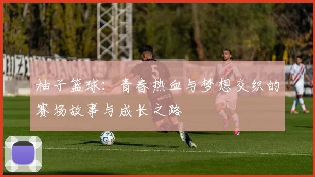 柚子篮球：青春热血与梦想交织的赛场故事与成长之路