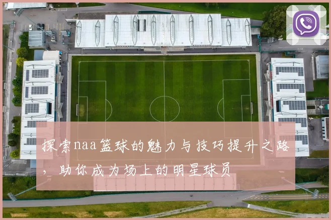 探索naa篮球的魅力与技巧提升之路，助你成为场上的明星球员