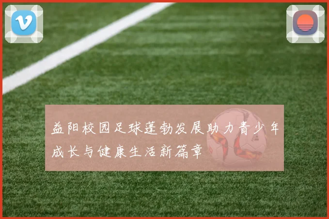 益阳校园足球蓬勃发展助力青少年成长与健康生活新篇章