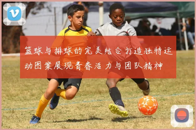 篮球与排球的完美结合打造独特运动图案展现青春活力与团队精神