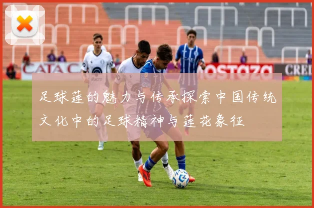 足球莲的魅力与传承探索中国传统文化中的足球精神与莲花象征
