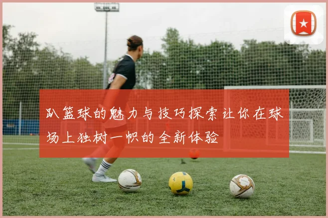 趴篮球的魅力与技巧探索让你在球场上独树一帜的全新体验